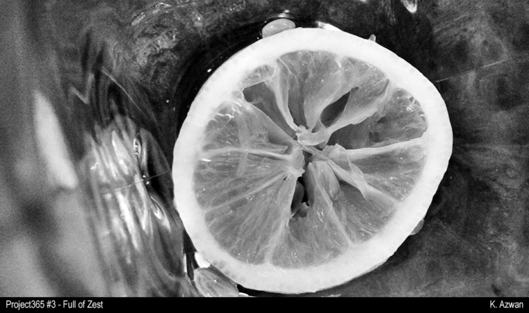 Project365 #3: Full of Zest