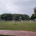 Galaxy S20 FE Photos (20)