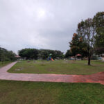 Galaxy S20 FE Photos (24)