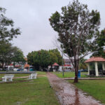 Galaxy S20 FE Photos (25)