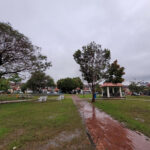 Galaxy S20 FE Photos (26)