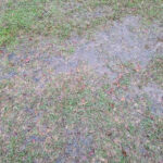 Galaxy S20 FE Photos (27)