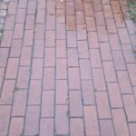 Galaxy S20 FE Photos (29)