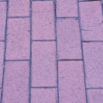 Galaxy S20 FE Photos (30)