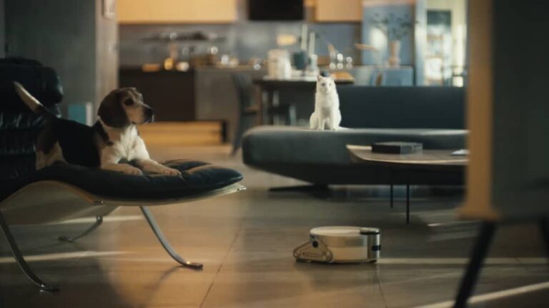 How the Samsung Jet Bot AI+ Takes Care of Your Pet When You’re Away