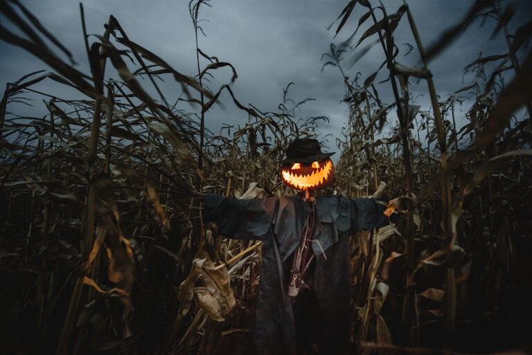 3 Tips to Make Your Halloween Photographs Scarily Good with realme 11 Pro+ 5G