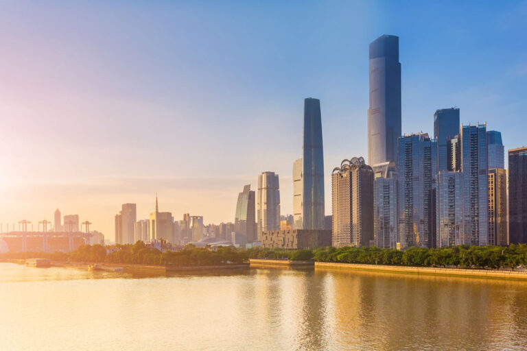 Understanding the Digital Evolution in Fast-Growing Cities