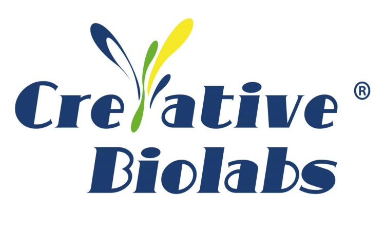 Creative Biolabs Integrates Proteome-Scale and High-Throughput Platforms to Accelerate Precision Antibody Discovery Creative Biolabs Integrates Proteome-Scale and High-Throughput Platforms to Accelerate Precision Antibody Discovery