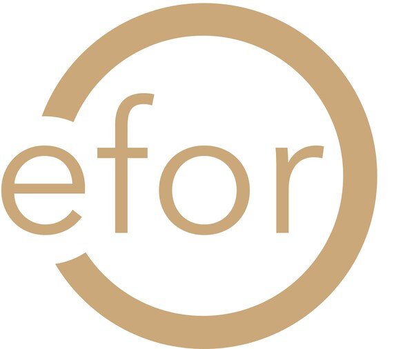 Efor strengthens its presence in Asia with the acquisition of No deviation Efor strengthens its presence in Asia with the acquisition of No deviation