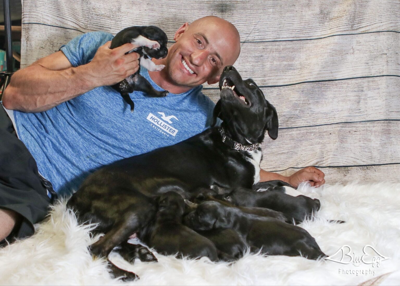 Jordan’s Way Announces Nationwide Hunt to Spotlight Long-Term Shelter Dogs Across the U.S