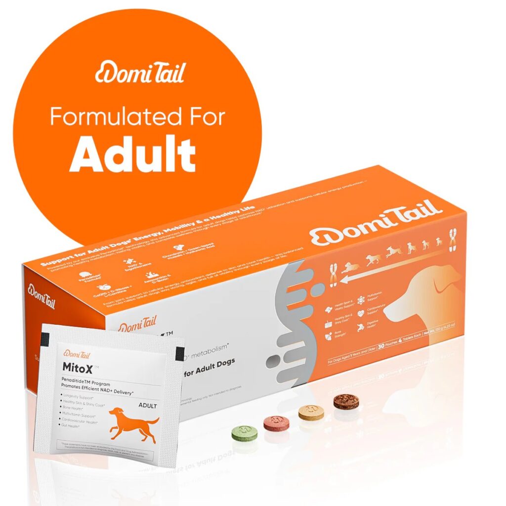 Domi Tail Advances Canine Health Innovation with MitoX Based Formulation