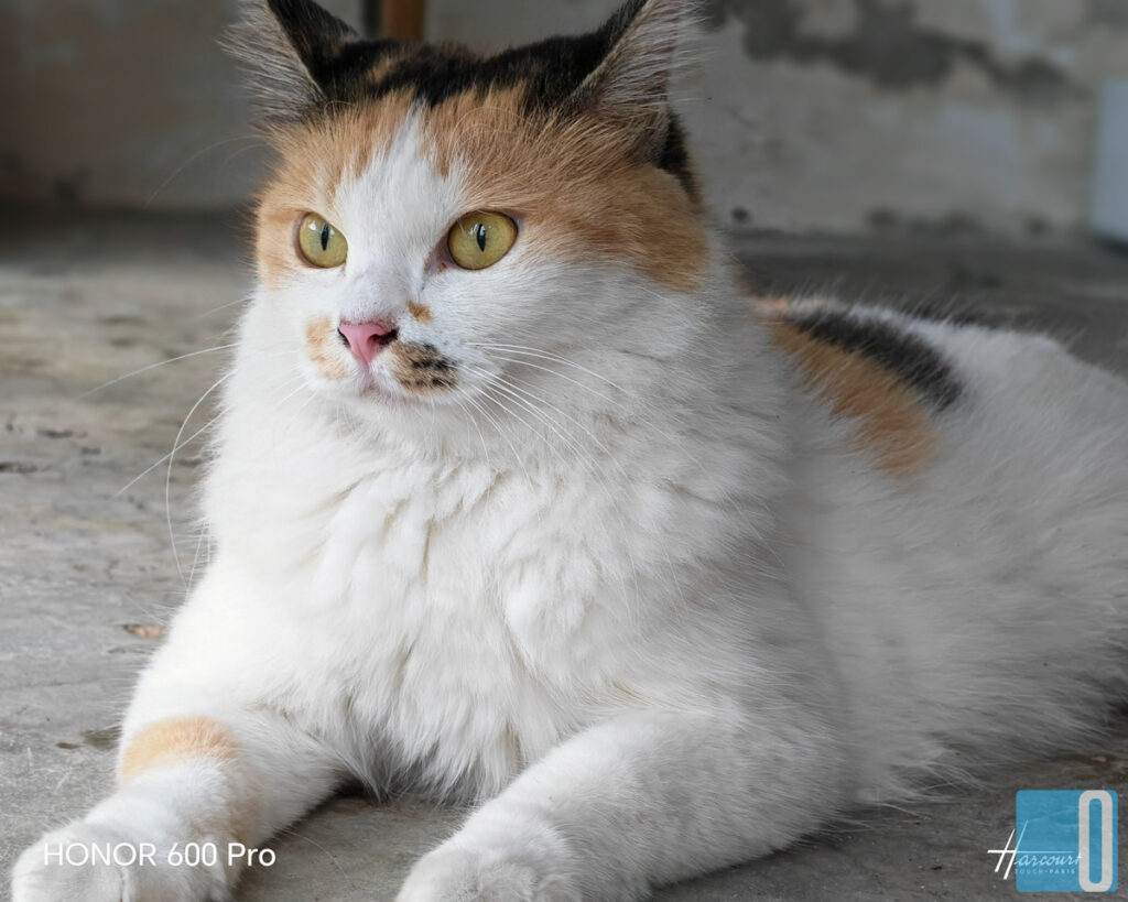 HONOR 600 Pro Review