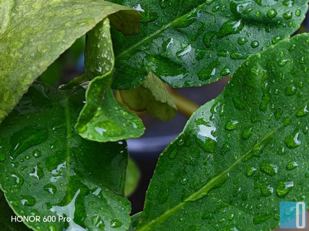 HONOR 600 Pro Review