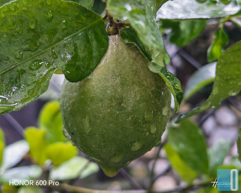 HONOR 600 Pro Review