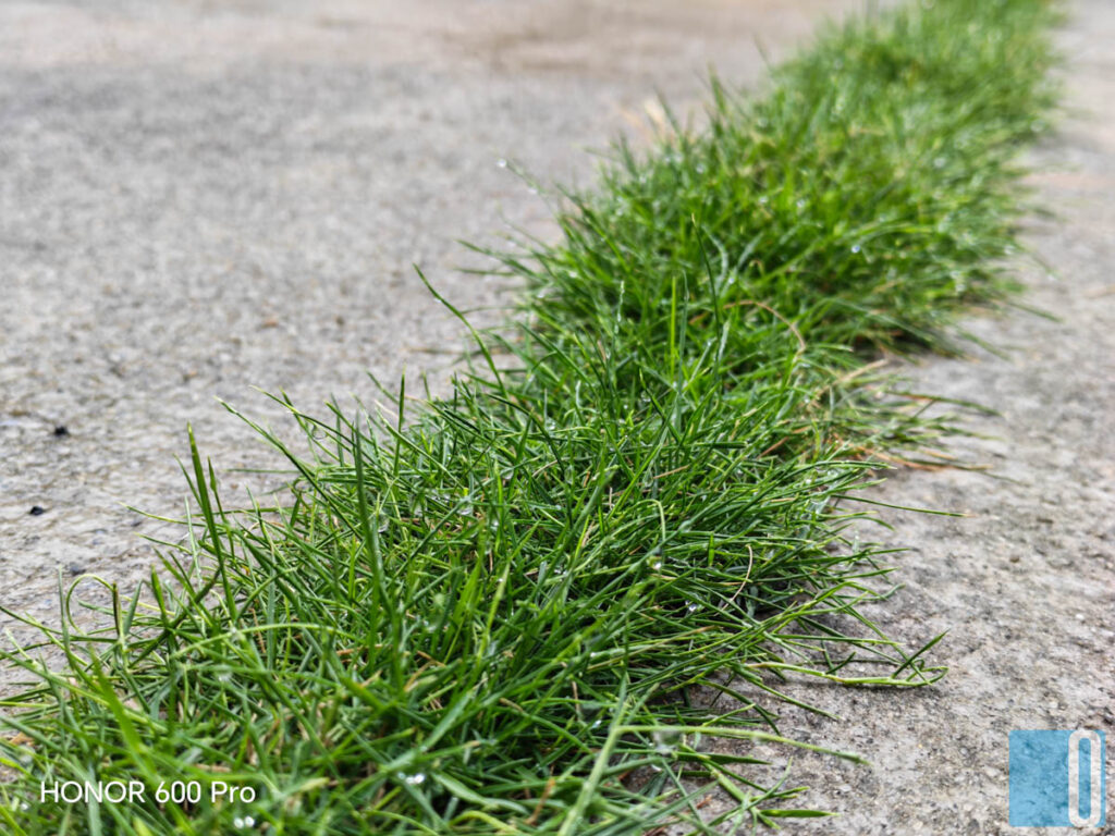 HONOR 600 Pro Review