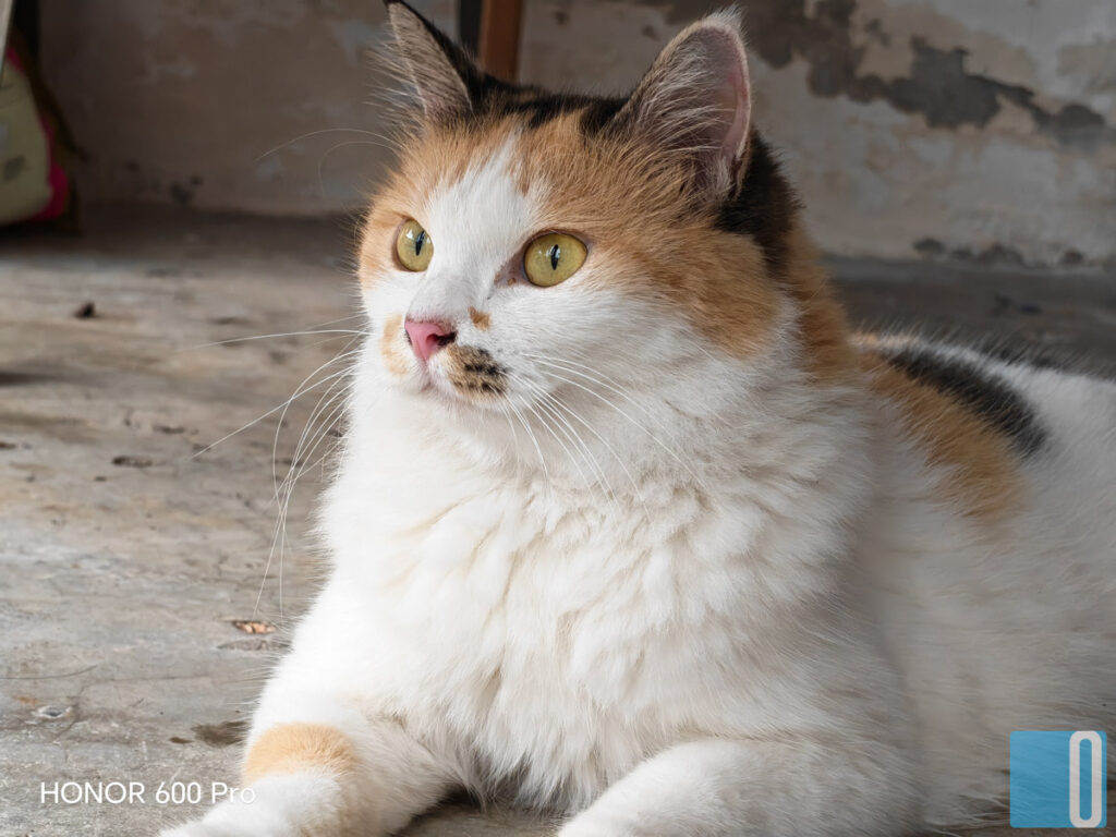 HONOR 600 Pro Review