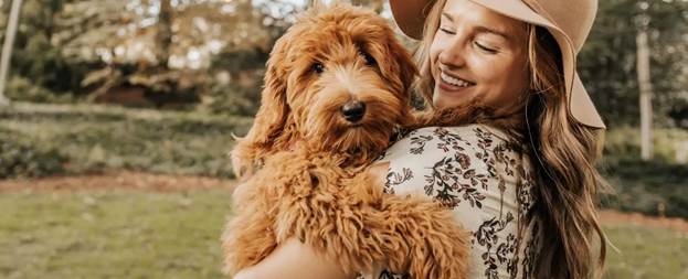 Designer Kennel Club Expands Official Registration Services for Designer, Hybrid, and Mixed Breed Dogs Across the United States Designer Kennel Club Expands Official Registration Services for Designer, Hybrid, and Mixed Breed Dogs Across the United States