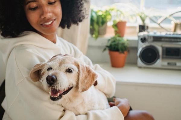 Can My Dog Tell Something Is Wrong With Me? Guide On Signs Released